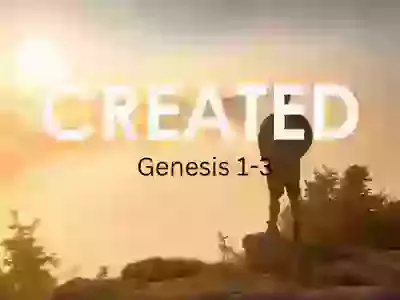 What are we worth?